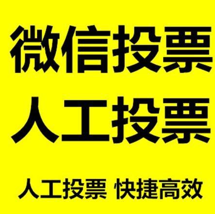 内蒙古投票活动拉票能被查出来吗？如何操作能不被发现？